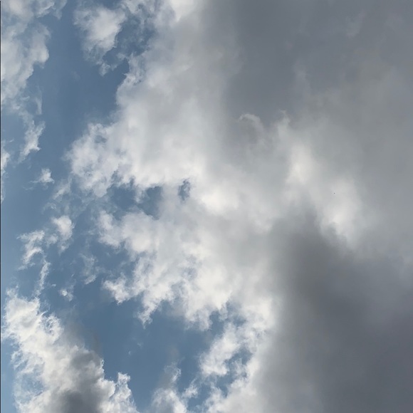 Meet your Posher, Audrey - Picture 1 of 1